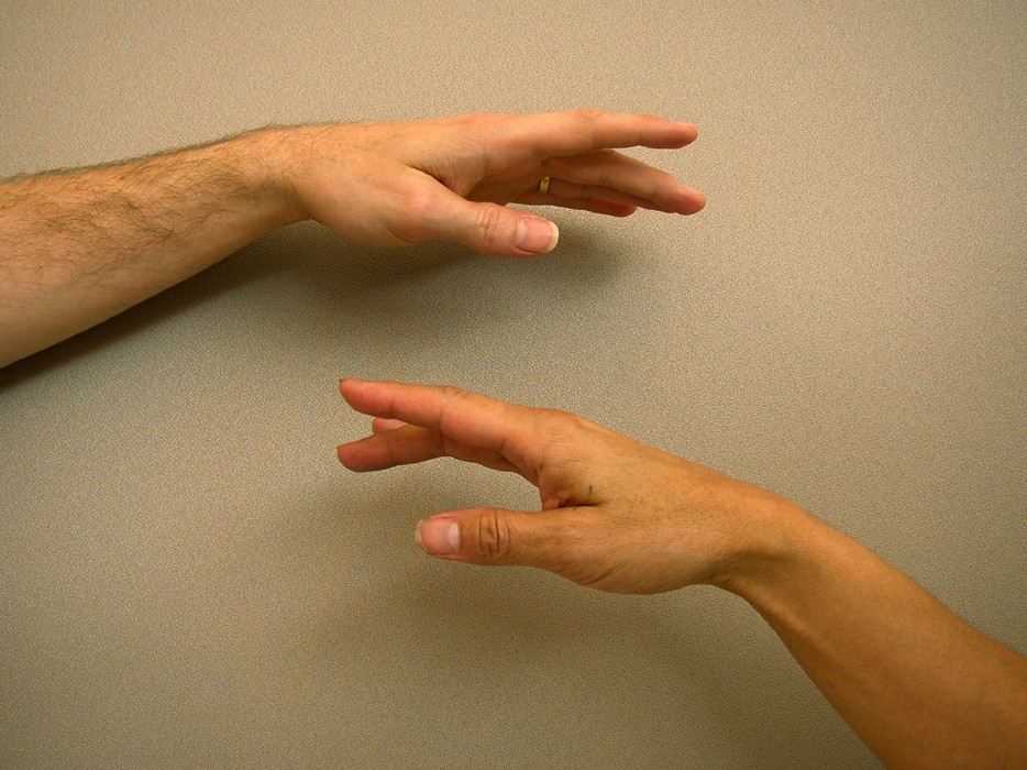 Figure 4-6: The graceful ballet hand — male and female.